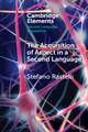 The Acquisition of Aspect in a Second Language