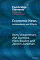 Economic News: Antecedents and Effects