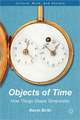 Objects of Time: How Things Shape Temporality