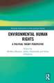 Environmental Human Rights: A Political Theory Perspective
