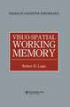 Visuo-spatial Working Memory