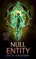 Null Entity