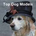 Top Dog Models (Wall Calendar 2018 300 × 300 mm Square)