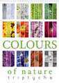 Colours of Nature - Triptycha (Wall Calendar 2020 DIN A3 Portrait)