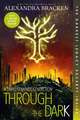 Through the Dark (Bonus Content) (A Darkest Minds Collection)