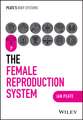 The Female Reproductive System