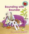 Bounding with Bounder