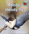 Ready, steady, fly