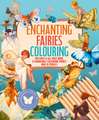 Enchanting Fairies Colouring Kit