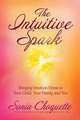 The Intuitive Spark