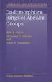 Endomorphism Rings of Abelian Groups