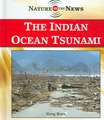 The Indian Ocean Tsunami