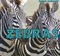 Zebras