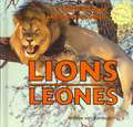 Lions/Leones