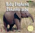 Baby Elephants/Elefantes Bebe