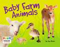 Baby Farm Animals