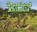 Grassland Animals