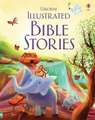 Various: Illustrated Bible Stories