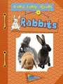 Rabbits