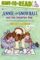 Annie and Snowball and the Surprise Day