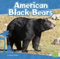 American Black Bears