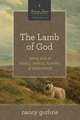 The Lamb of God – Seeing Jesus in Exodus, Leviticus, Numbers, and Deuteronomy (A 10–week Bible Study)