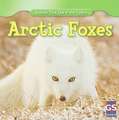 Arctic Foxes