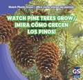 Watch Pine Trees Grow/Mira Como Crecen Los Pinos!