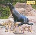 Meet the Sea Lion