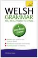 Welsh Grammar You Really Need to Know: All That Matters