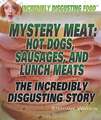 Mystery Meat: The Incredibly Disgusting Story