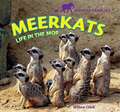 Meerkats: Life in the Mob