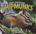 Chipmunks