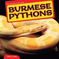 Burmese Pythons