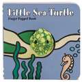 Little Sea Turtle