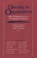 Diversity in Organizations: New Perspectives for a Changing Workplace