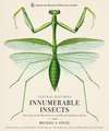 Innumerable Insects: The Story of the Most Diverse and Myriad Animals on Earth