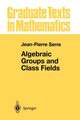 Algebraic Groups and Class Fields