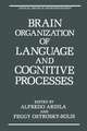 Brain Organization of Language and Cognitive Processes