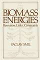 Biomass Energies: Resources, Links, Constraints