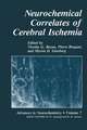 Neurochemical Correlates of Cerebral Ischemia