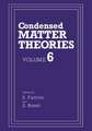 Condensed Matter Theories: Volume 6