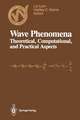 Wave Phenomena: Theoretical, Computational, and Practical Aspects