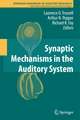 Synaptic Mechanisms in the Auditory System