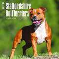 Staffordshire Bull Terriers - Bull Terrier 2017 - 18-Monatskalender mit freier DogDays-App