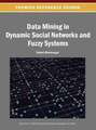 Data Mining in Dynamic Social Networks and Fuzzy Systems