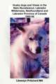 Husky Dogs and Views in the Nain - Nunatsiavut, Labrador Wilderness, Newfoundland and Labrador Province of Canada 1965-66