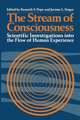 The Stream of Consciousness: Scientific Investigations into the Flow of Human Experience