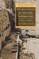 The Archaeology of Sanitation in Roman Italy