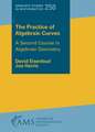 The Practice of Algebraic Curves